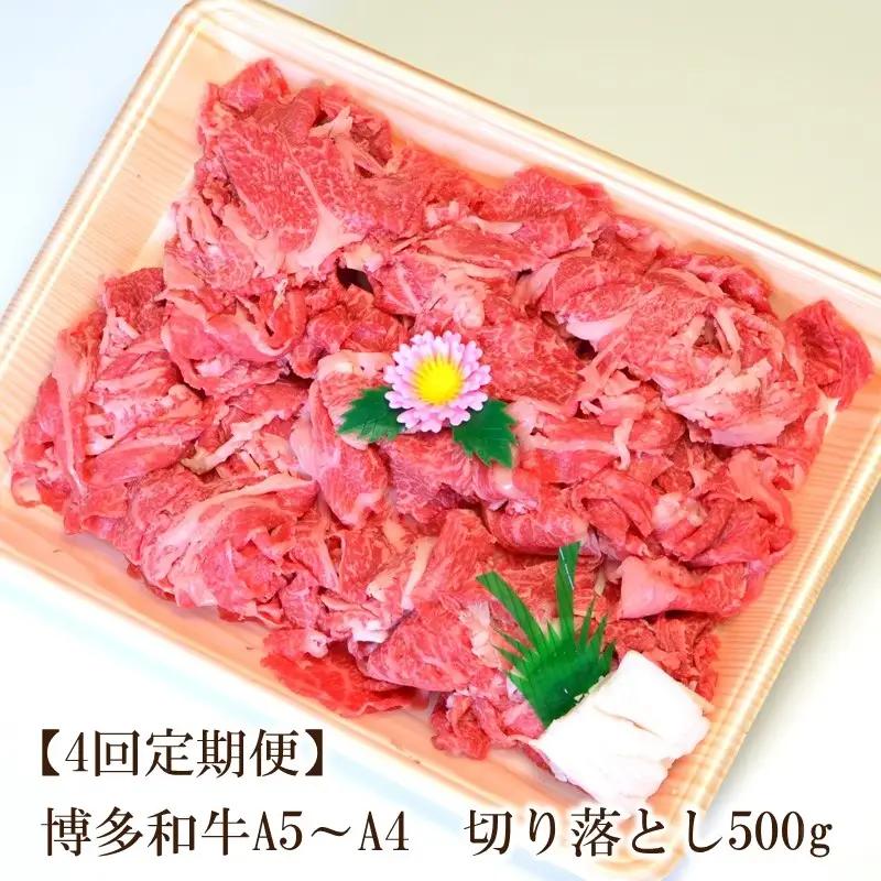 【4回定期便】博多和牛A5～A4 切り落とし500g【化粧箱入】【001-0362】