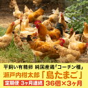 【ふるさと納税】【3か月定期便】島たまご34個(破卵保障＋2個)《有精卵》合計108個 平飼い 新鮮 卵 玉子 瀬戸内柑太郎 純国産鶏 産地直送 コーチン 017033