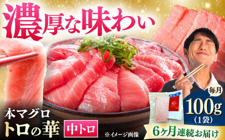 【全6回定期便】対馬産 本マグロ 中トロ100g ≪対馬市≫【桐谷商店】 トロの華 対馬 新鮮 マグロ 中トロ トロ 鮪 刺身[WAQ117]