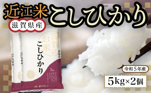 
近江米　こしひかり　白米１０㎏ 令和6年産 BD06
