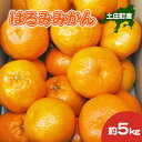 【ふるさと納税】はるみみかん　約5kg　 果物類 柑橘類 ぽんかん 清見 はるみ 甘み ジューシー 剥きやすい 食べやすい 　お届け：2025年2月下旬～2025年3月上旬