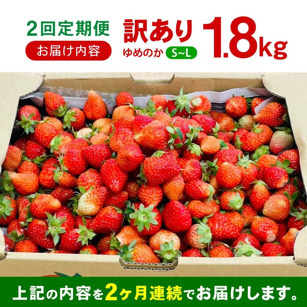 【2回定期便】※【2027年3月上旬頃より順次発送／先行予約】訳あり いちご「ゆめのか」 S-Lサイズ 1.8kg / 訳あり 訳あり商品 訳あり果物 果物訳あり いちご イチゴ 苺 イチゴジャム /