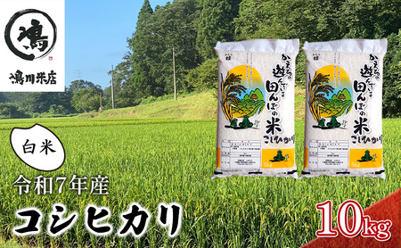 新米　令和7年 コシヒカリ　白米　10kg お米 精米 粘りつやつや 甘み 美味しい 新鮮 