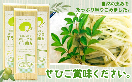 オリーブ 茶 そうめん 3袋 セット 福田さん家のオリーブ園。《30日以内に出荷予定(土日祝除く)》手延べ 麺 乳酸菌 天草 苓北 熊本 送料無料