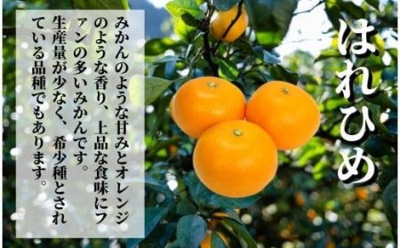 【早期予約受付中！2024年12月～順次発送】二種のみかん食べ比べ箱 愛果28号・はれひめ(家庭用) 約 2.8kg  （愛媛 みかん 蜜柑 みかんセット 蜜柑セット 果物 みかん 蜜柑）【PT022