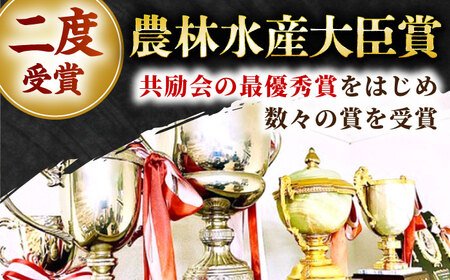 【農林水産大臣賞】佐賀牛 ハンバーグ 60g×10個 【田中畜産牛肉店】黒毛和牛 牛肉[HBH145]