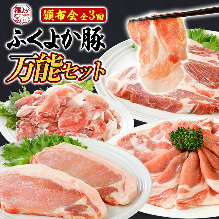 【ふるさと納税】【頒布会】豚肉 切り落とし しゃぶしゃぶ ステーキ ふくよか豚 万能セット 定期便 ロース 肩ロース バラ モモ ヒレ 小分け ブタ肉 ぶた肉 冷凍 福岡県 福岡 九州 グルメ お取り寄せ CP2512KY