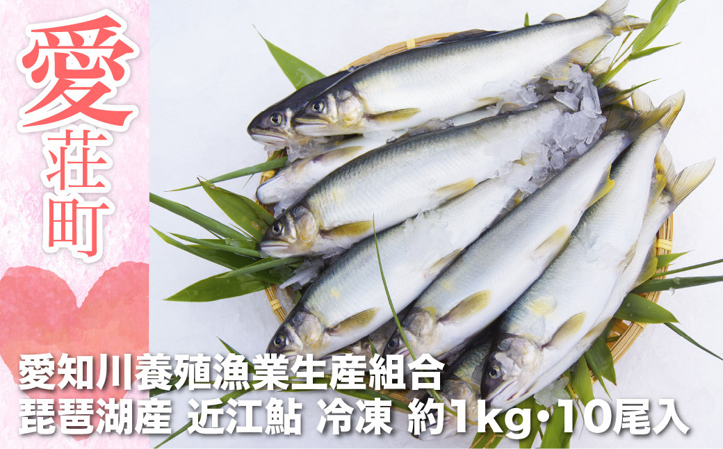 
愛知川養殖漁業生産組合 琵琶湖産 近江鮎 約1kg(10尾) 冷凍AV02
