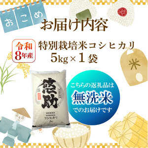 【先行予約】令和8年産 無洗米 コシヒカリ 5kg コシヒカリ コシヒカリ kwsMKH