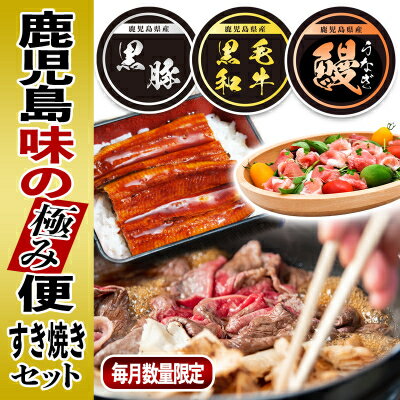 【ふるさと納税】黒豚・黒毛和牛・うなぎ 鹿児島!味の極み便B【配送不可地域：離島】【1185987】