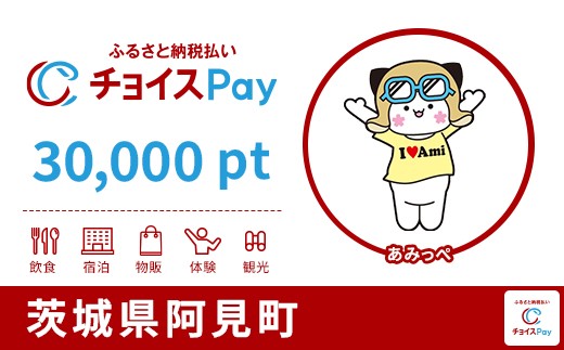 
                  阿見町チョイスPay 30,000pt【会員限定のお礼の品】
                