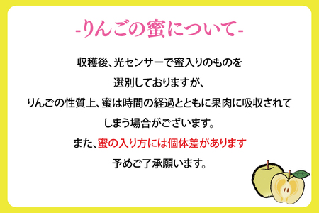 ★サビあり★ りんご はるか 「そばかす冬恋」(自家用「冬恋 はるか」 サビ有) 約2.5kg 糖度15度以上【先行予約 12月発送予定】 数量限定 岩手県産 りんご リンゴ 林檎 冬恋 はるか フル