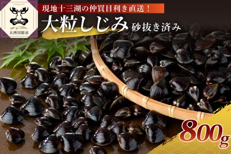 しじみ　津軽十三湖産大粒しじみ800g（冷凍しじみ・砂抜き済）大和しじみ