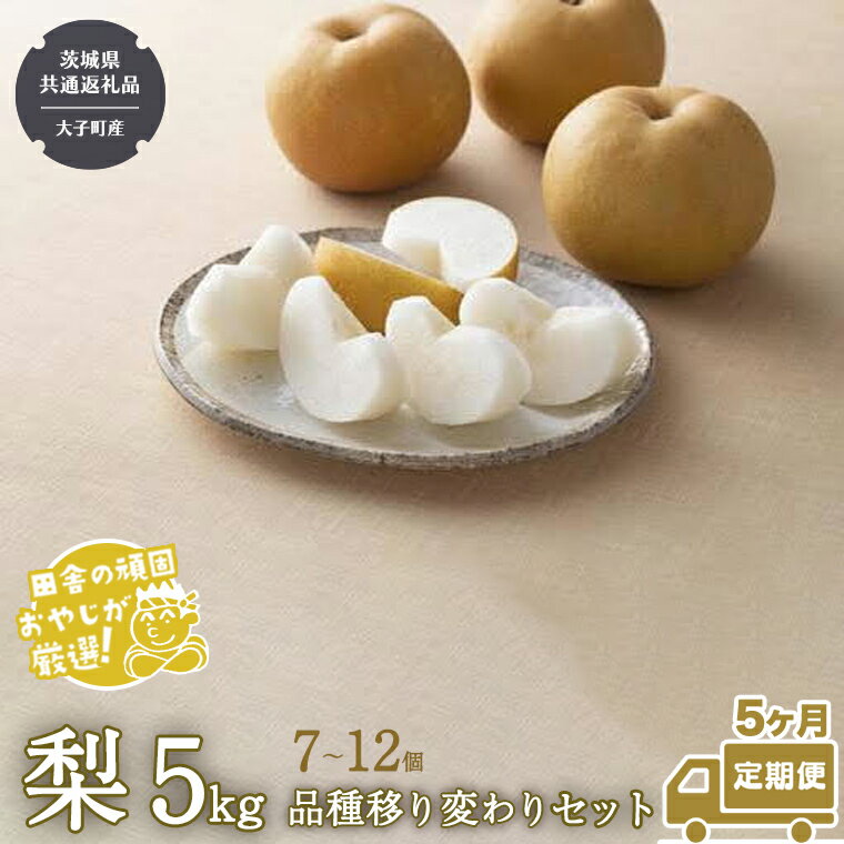 【ふるさと納税】【定期便】梨 5kg（7～12個）品種移り変わりセット【2025年8月から5か月連続で発送】（茨城県共通返礼品 [梨]：大子町産） なし ナシ 果物 フルーツ 茨城県産