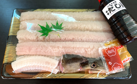 ハモの本場 淡路島産 極上 はも 約1.2kg (約4人前) ハモ 鱧 鱧鍋 湯引き 鱧しゃぶ 魚 魚介 魚介類 海鮮 海の幸 骨切り 美味しい 冷蔵 淡路島 洲本市