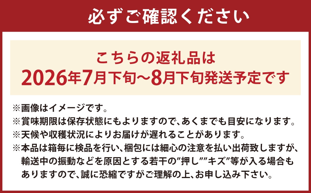 シャインマスカット 晴王 2房 約1.2kg