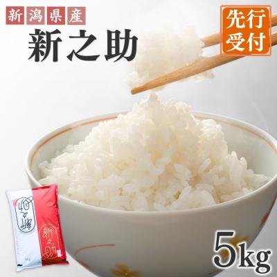 ふるさと納税 三条市 先行受付 新潟県三条産新之助 5kg×1袋 令和7年産新之助 精米 新潟県産新之助【017S140】