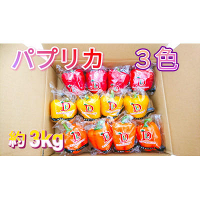 
                  ＜宮城県産＞パプリカ(赤・黄・橙)12玉　約3kg【1401727】
                