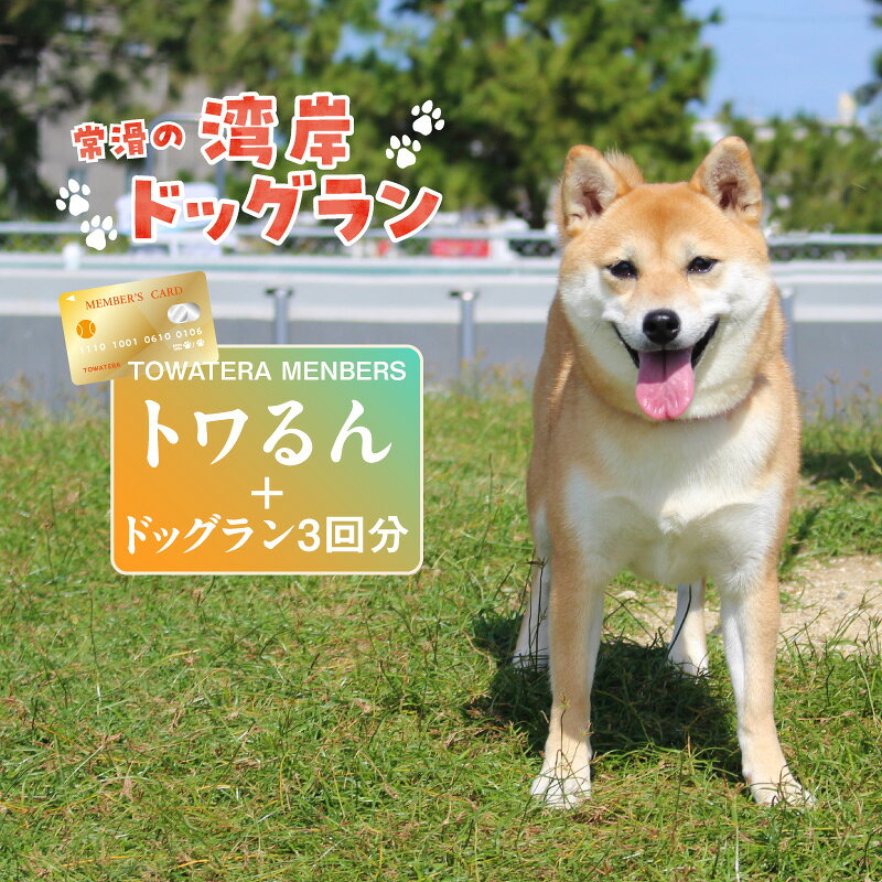 【ふるさと納税】「トワるん」会員入会＋ドッグラン3回分（1頭）ドッグラン、ペットホテルなどをお得に利用できる【TOWATERAメンバーズ】 犬 ペット おでかけ 知多半島 観光 体験チケット プール トリミング ペットホテル 犬用ホテル カフェ ペット同伴 犬連れ 会員権