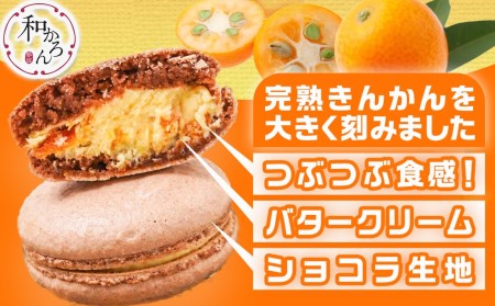 完熟きんかんのフローズンセット_AA-J701_(都城市) 氷結きんかん 完熟きんかんマカロン 急速冷凍 浅井万十店（都城市）と内山金柑園のコラボ