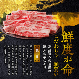 筑後船小屋牛肩ローススライス【500g】_Ab029