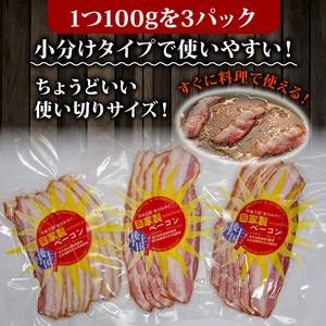 ベーコンスライス 300g 100g(約5～7枚) ×3パック ベーコン べーこん 豚 豚バラ肉 ブランド豚 京丹波高原豚 琴引の塩 丹後王国 京都 京都府 丹後王国ブルワリー 