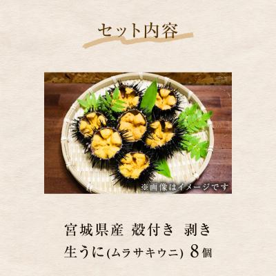 ふるさと納税 石巻市 <先行予約> 生うに 宮城県産 殻付き お造り 生ウニ 8個 冷蔵 ミョウバン不使用 無添加 雲丹 |  | 02