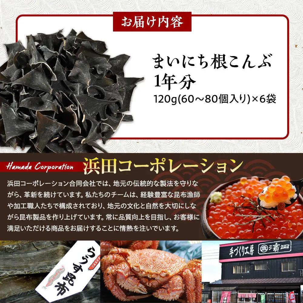 まいにち根こんぶ　１年分 昆布水 健康 ミネラル だし 和食 国産 知床 羅臼 北海道