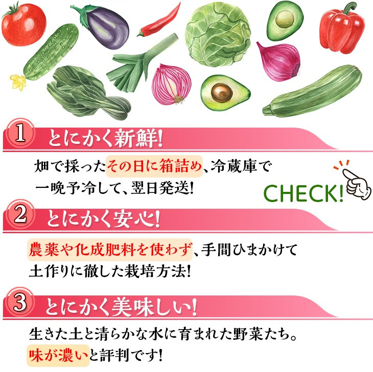 【定期便】＜アスカ有機農園＞（栽培期間中農薬・化学肥料不使用）旬の京野菜セットS＊毎月お届け全１２回