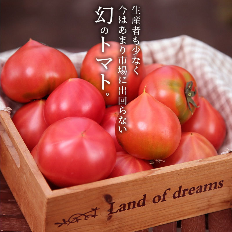 【2026年度予約分】【お試し】たった3ヶ月しか食べられない　幻のファーストトマト 約700g　長田農園 産地直送 トマト とまと 野菜 やさい フルーツ サラダ 濃厚 甘い ご褒美 プレゼント 美容 健康 リピート多数 人気 高評価 先行受付 数量限定 碧南市　H004-120