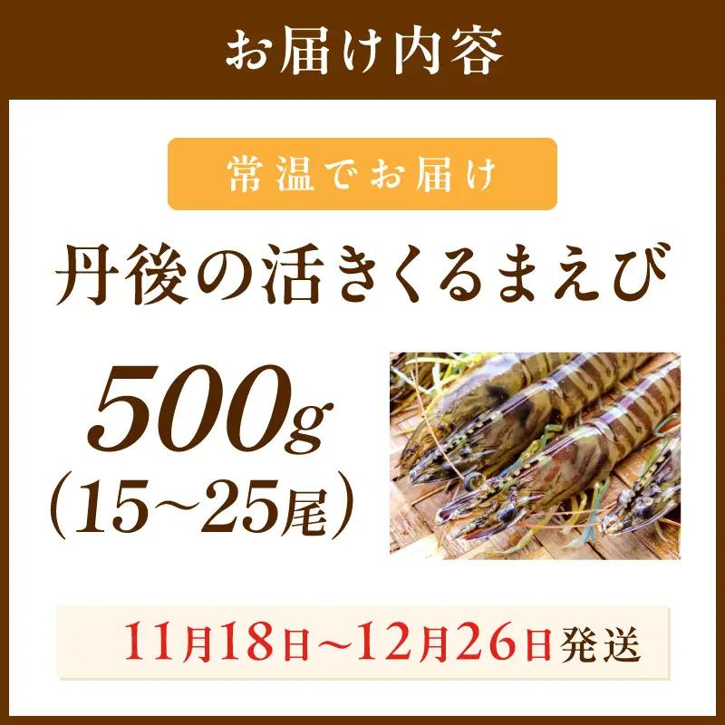 丹後の活きくるまえび 500g（15～25尾） えび