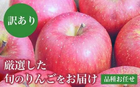 先行予約［訳あり］ 旬のりんご 約3kg 6～12玉 ［小布施屋］ 傷 規格外 不揃い 令和8年度産 【2026年12月配送】［A-304c］