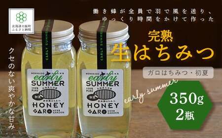 完熟生はちみつ ガロはちみつ・初夏（アカシア）（350g）2瓶セット　大容量サイズ