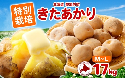 ＜2026年秋以降出荷＞ 北海道 特別栽培 じゃがいも きたあかり M～L 約17kg ジャガイモ 馬鈴薯 芋 いも イモ ポテト 野菜 根菜 旬 北海道産 国産 生 ホクホク 人気 農作物 17キロ お取り寄せ 産地直送 畑農場 送料無料