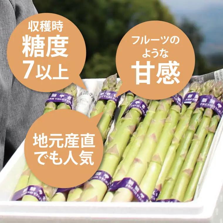 令和8年産 フルーツ アスパラ 1.2kg CS002 アスパラガス