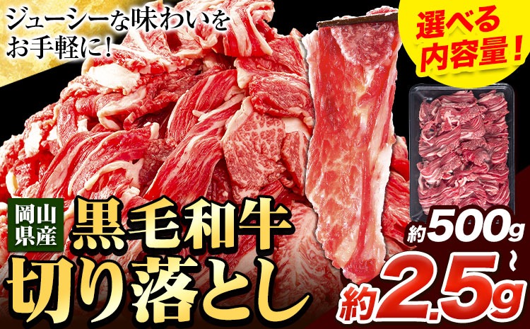 牛肉 肉 黒毛和牛 切り落とし 訳あり 大容量 小分け 500g～2.5kg 1パック 250g 定期便 有《30日以内に出荷予定(土日祝除く)》岡山県産 岡山県 笠岡市 お肉 にく カレー 牛丼 牛肉 切り落し 小分け 切落し 牛肉 小分け 牛肉----kasaoka_zsy_111_500g---