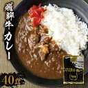 【ふるさと納税】飛騨牛カレー (40袋) | 訳あり 飛騨牛 肉 牛 カレー ビーフカレー 簡易包装 レトルトカレー ご当地カレー 人気 おすすめ 発送時期が選べる 便利 飛騨高山 ふるさと清見 DC009VP