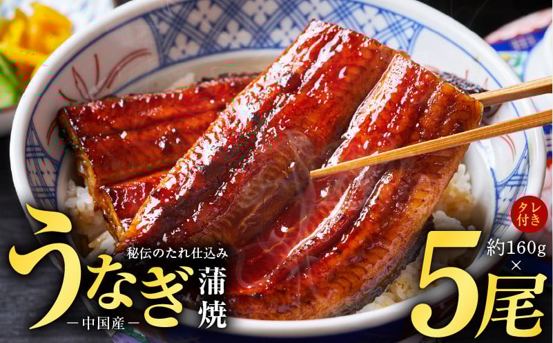 
秘伝のたれ仕込み うなぎ蒲焼 合計800g（約160g×5尾）鰻 ウナギ 中国産 温めるだけ 簡単 レンジ調理 ふっくらふわふわ 炭火焼き 備長炭 手焼き
