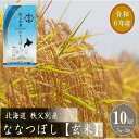 【ふるさと納税】 玄米 新米 令和6年産 特Aランク 特A ふるさと納税 ななつぼし 10kg 先行 受付 北海道 秩父別町 米どころ