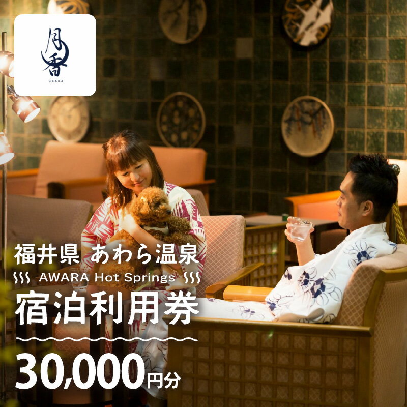 【ふるさと納税】あわら温泉 宿泊利用券 30,000円分 l 宿泊券 利用券 旅館 ホテル チケット ペア 観光 旅行 愛犬 ペット可 ドッグラン