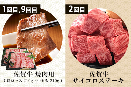 【定期便12回】佐賀の「牛・豚・鶏」食べ比べ 定期便 12ヶ月 12ヵ月 佐賀牛 ありた鶏 佐賀県産豚肉 焼き肉 焼肉 しゃぶしゃぶ ステーキ バラエティ V-44