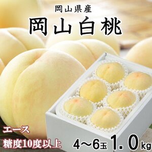 【先行受付】岡山白桃 エース 4～6玉 1kg 岡山県産【配送不可地域：離島・北海道・沖縄県】【1305692】