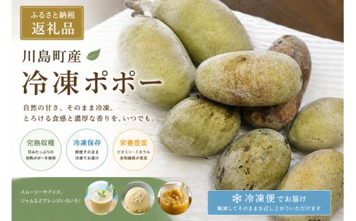 【冷凍ポポー】【農薬不使用】ポポーまるごと　1.5キロ以上（9月上旬頃から発送開始のお品です）
