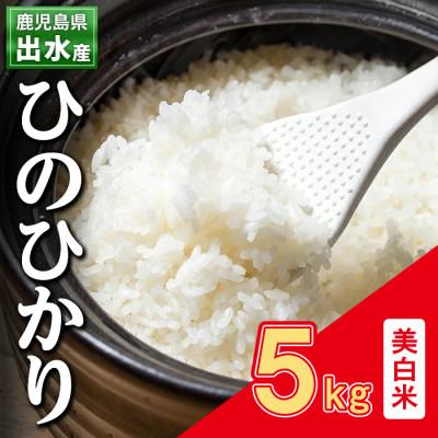 ふるさと納税 出水市 出水産ひのひかり美白米(5kg×1袋)_I502-v02