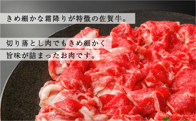 ＜定期便6回＞佐賀牛たっぷり切り落とし 1kg (500g×2パック) 27st-0001-T6