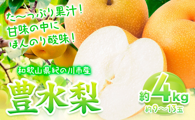 
            【先行予約】和歌山県紀の川市産 の豊水梨 約4kg （約9玉～13玉）紀の川市厳選館 《2025年8月中旬-9月上旬頃出荷》 和歌山県 紀の川市 果物 フルーツ なし ナシ
          