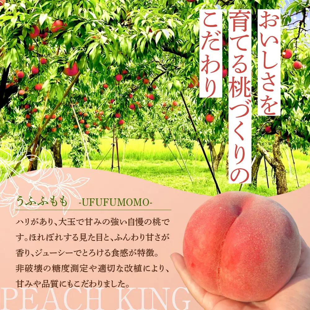 すーさんの果樹屋　【先行予約】川中島の桃 大玉3玉 品種おまかせ 8月中旬～8月下旬発送予定 |桃 フルーツ