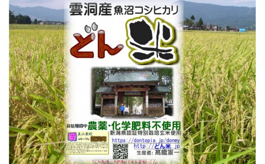 【頒布会】南魚沼産「どん米」白米真空パック4kg×１０ヶ月　ちょっと！うるさいよ！炊き方