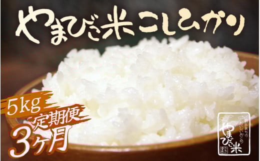 【先行予約】【令和7年産・新米】定期便 ≪3ヶ月連続お届け≫ 米 コシヒカリ 新庄やまびこ米（白米）5kg × 3回 計15kg【2025年10月以降順次発送予定】特A 白米 こめ コメ お米 おこめ こしひかり 5キロ 10キロ 定期便 おすすめ お米ならこれ 産地直送[m23-d002]