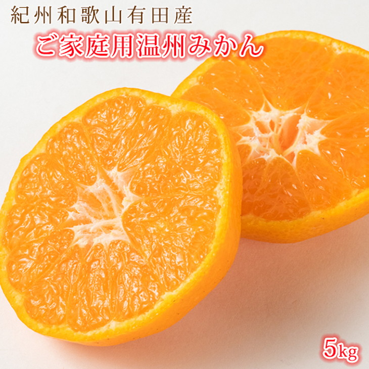 
                  【訳あり・ご家庭用】【先行予約】紀州有田産 濃厚完熟 温州みかん 約5kg 【2026年11月下旬～2027年1月下旬頃に順次発送予定】/ みかん ミカン 蜜柑 温州みかん 柑橘 フルーツ 果物 くだもの 和歌山
                